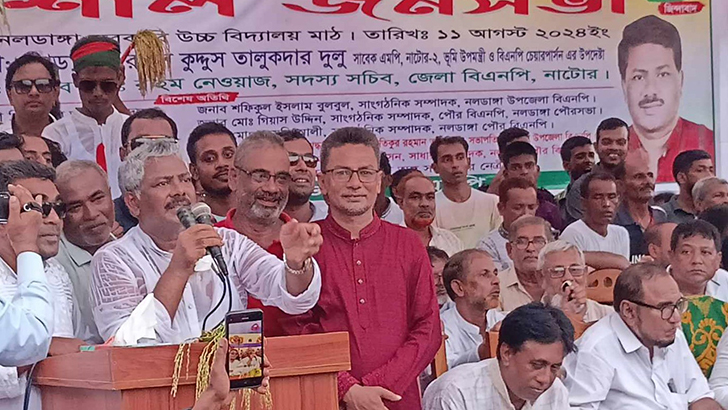 শেখ হাসিনাকে গ্রেফতার করে বিচারের আওতায় আনতে হবে: দুলু